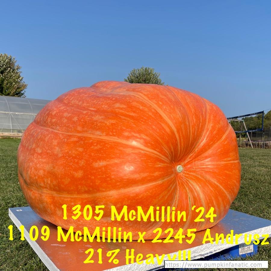 1305.5 McMillin 2024